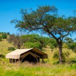 Kati Kati Safari tent