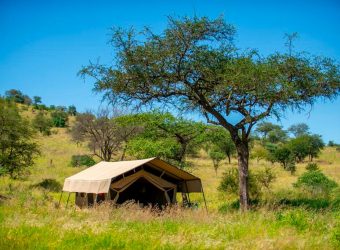 Kati Kati Safari tent