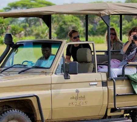 Game Drive
