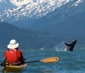 Kenai Fjords National Park