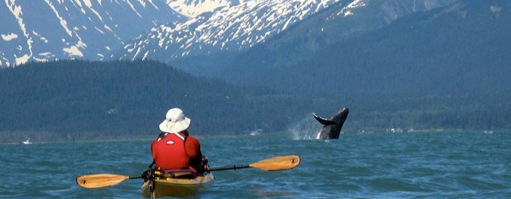 Kenai Fjords National Park