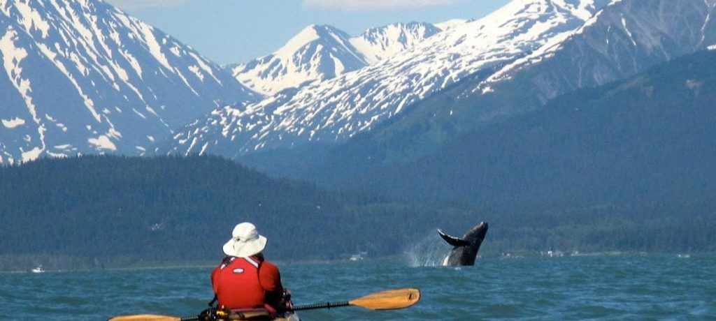 Kenai Fjords National Park