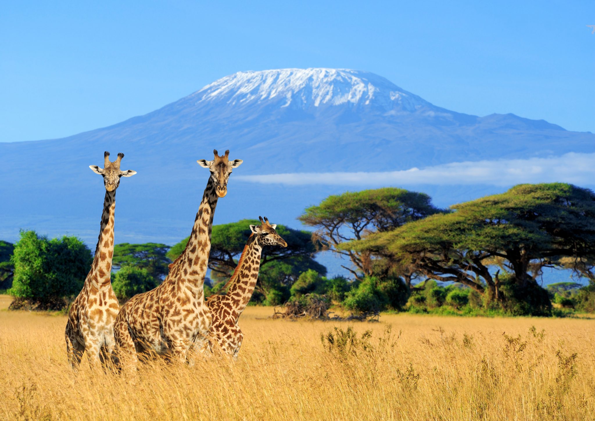 Kenia Safari Rondreis
