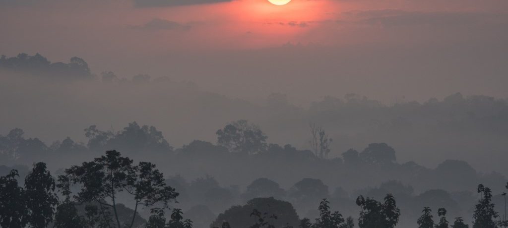 Zonopkomst, Kibale. Oeganda - Shutterstock