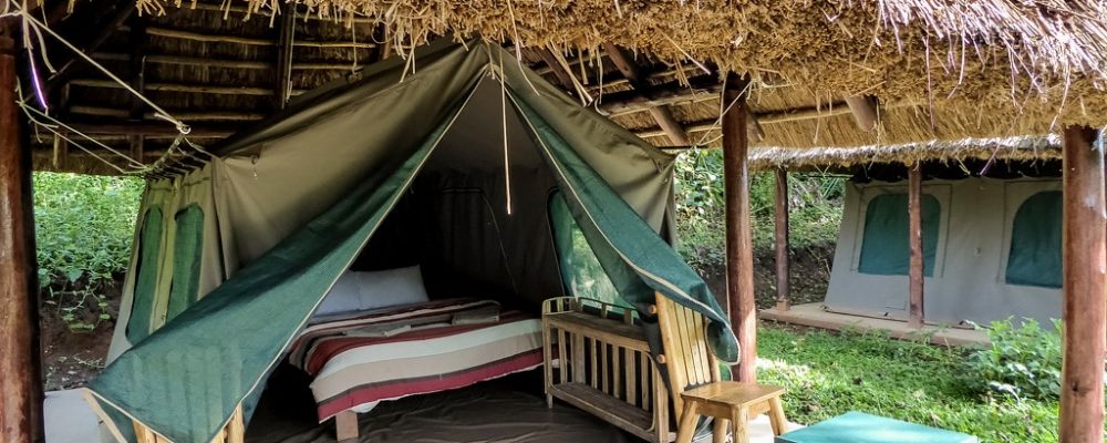 Kibale Forest Camp