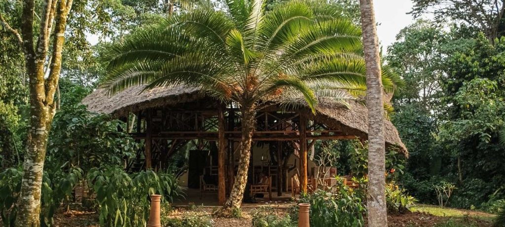 Kibale Forest Camp