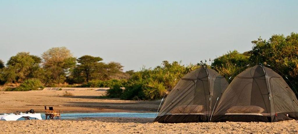 Kichaka Fly Camp