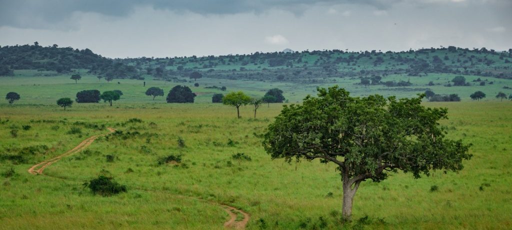 Kidepo Valley