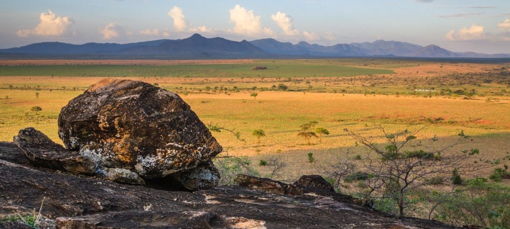 Kidepo national park oeganda
