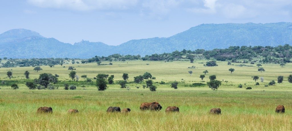 Kidepo Valley