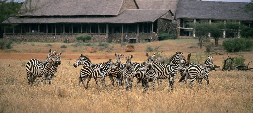 Kilaguni Serena Safari Lodge