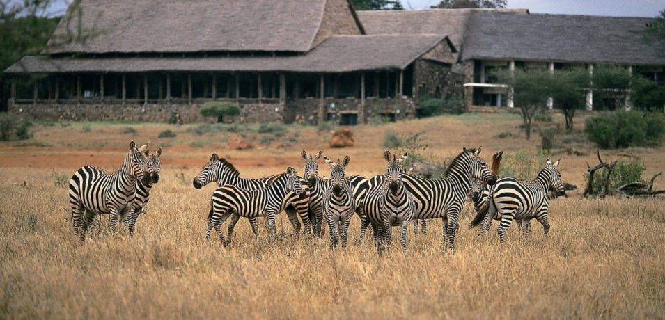 Kilaguni Serena Safari Lodge