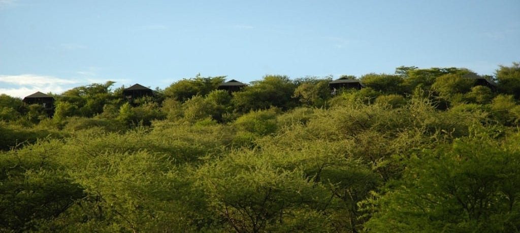 Kirawira Tented Camp