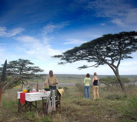 Bush diner