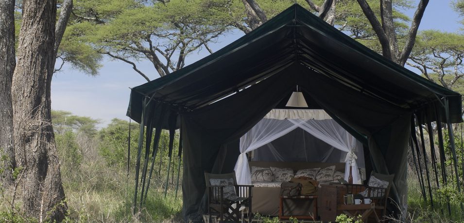 Kirurumu Ngorongoro Camp