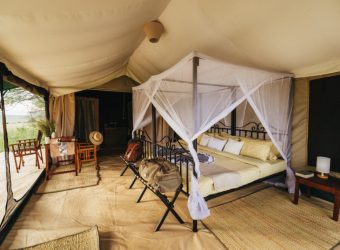 Kirurumu Serengeti Camp (1)