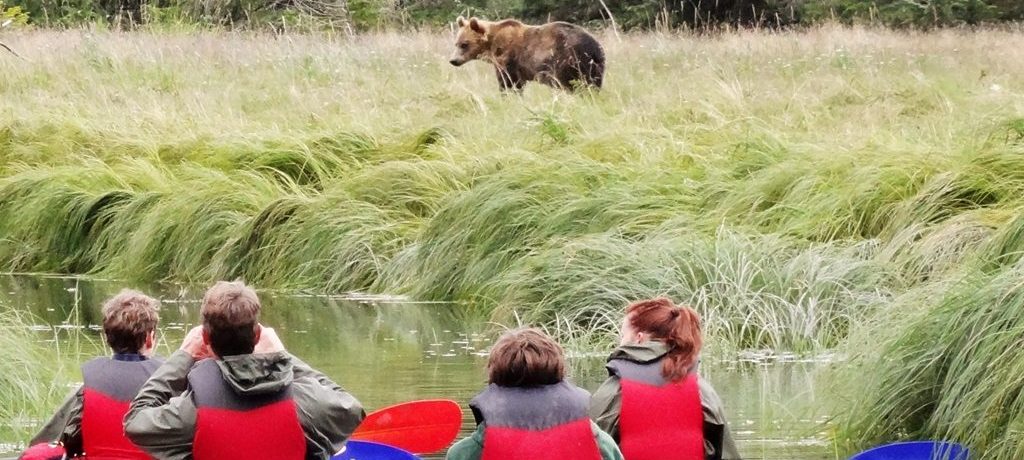 Grizzly Kajak