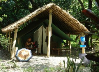 Safari tent, Koshi Tappu Wildlife Camp