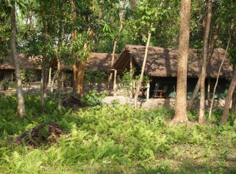 Tenten, Koshi Tappu Wildlife Camp