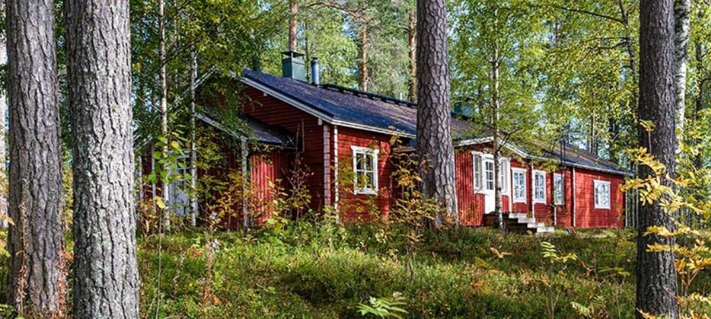 Wildernis Lodge, Taiga wouden, Oost-Finland