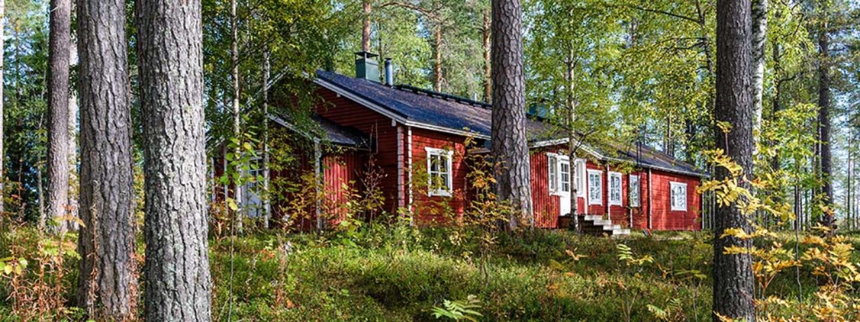 Wildernis Lodge, Taiga wouden, Oost-Finland