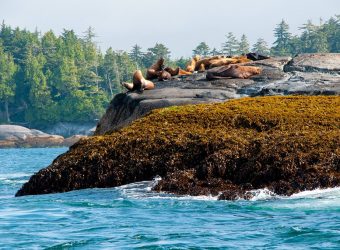 Port Hardy