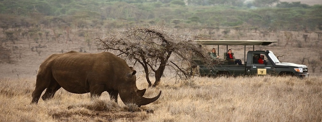 Laikipia, Wildlife spotten in Kenia