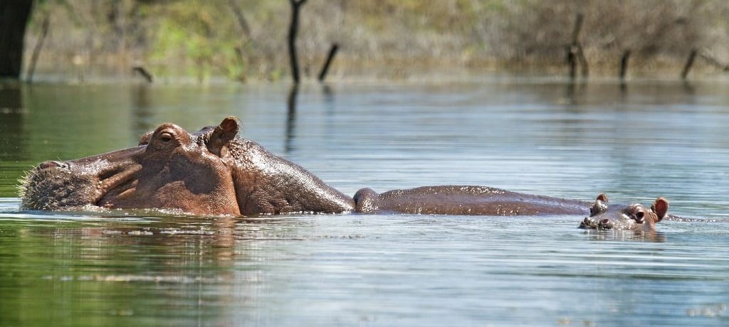 Lake Baringo