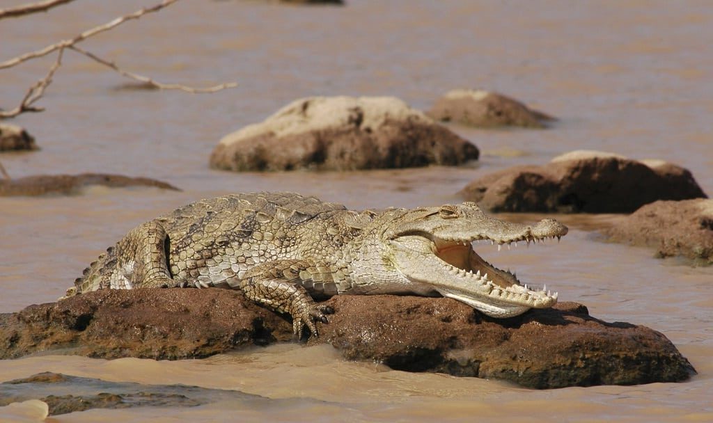 Lake Baringo