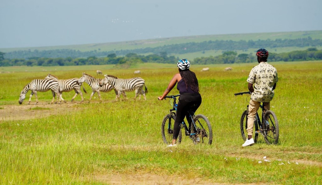 Mountainbiken