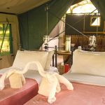 Lake Manze Tented Camp Foto: © David Liebst