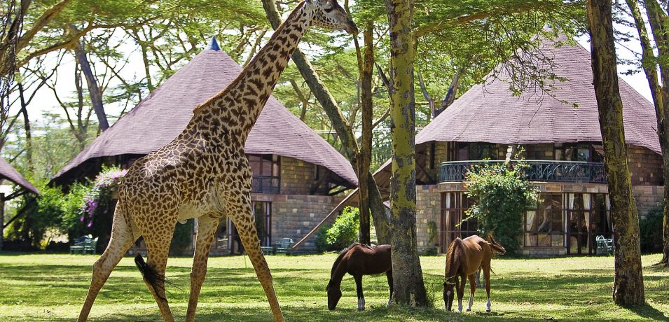 Lake Naivasha Sopa Lodge