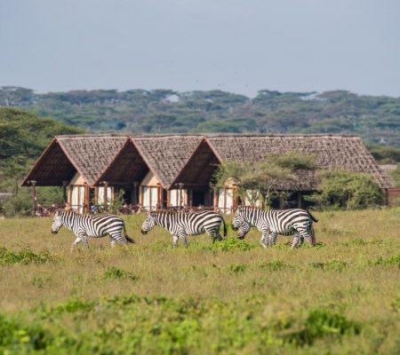 Lake Ndutu Luxury Tented Lodge