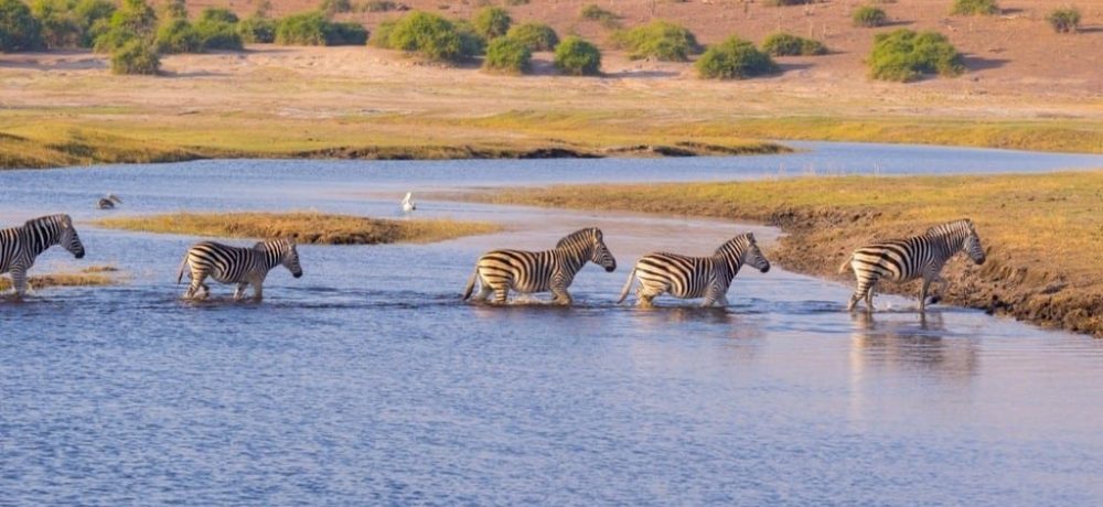 Lake Ndutu Serengeti