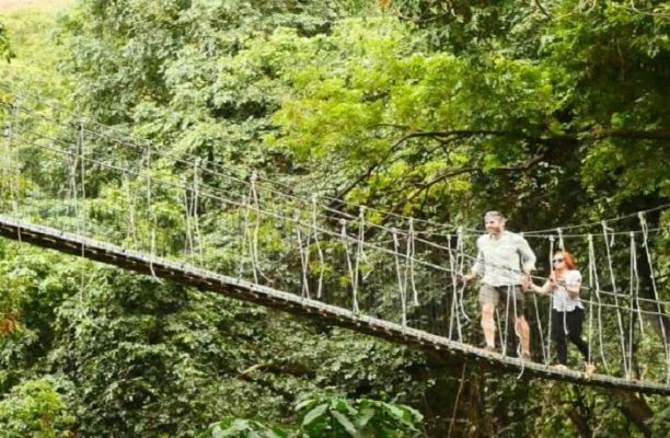 Lake manyara Treetop walk