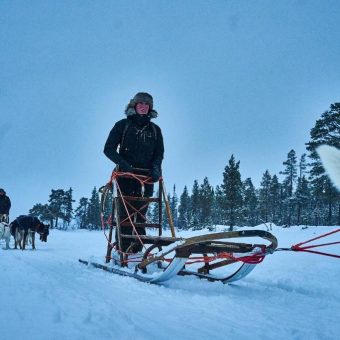 Husky Lapland