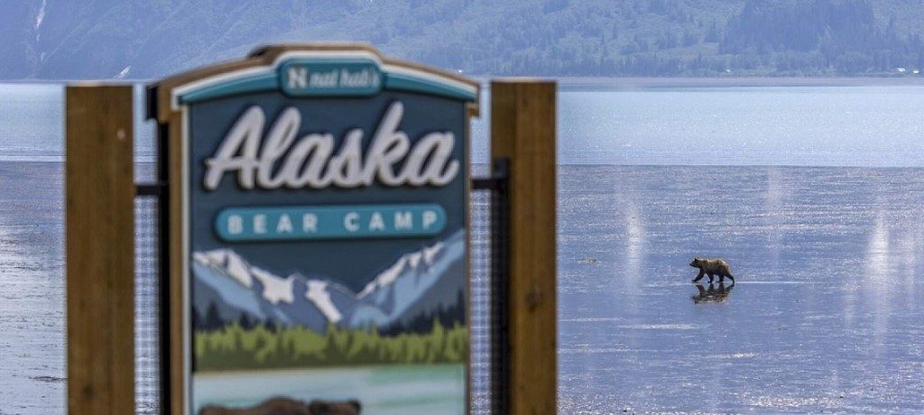 Alaska Bear Camp