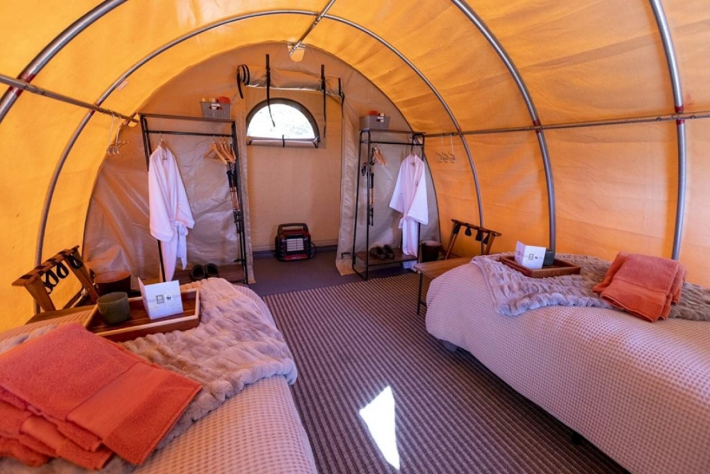 Tent, Alaska Bear Camp