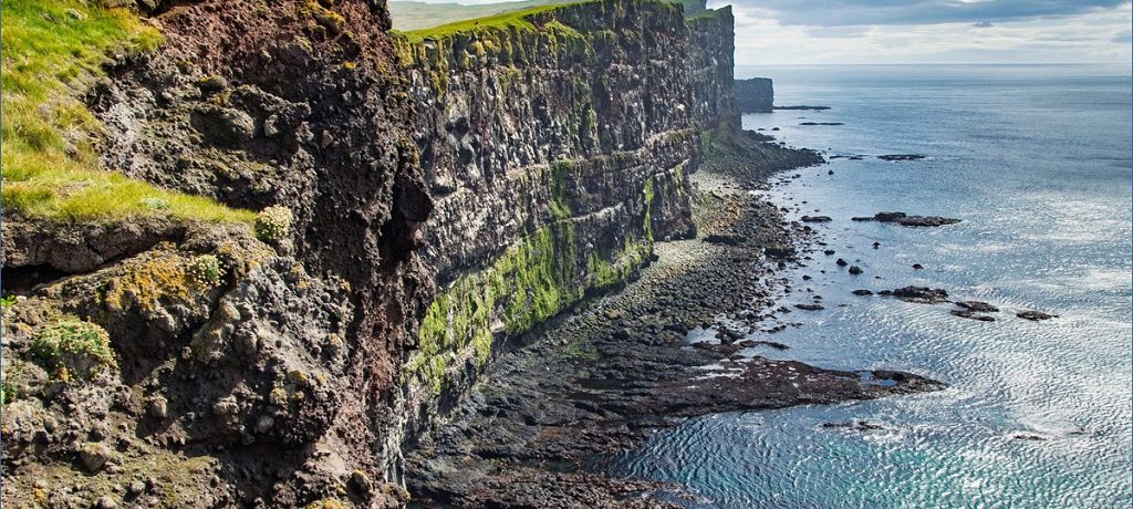 Spot papegaaiduikers, IJsland