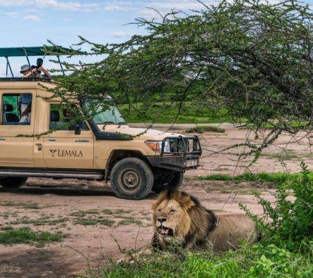 Game drive