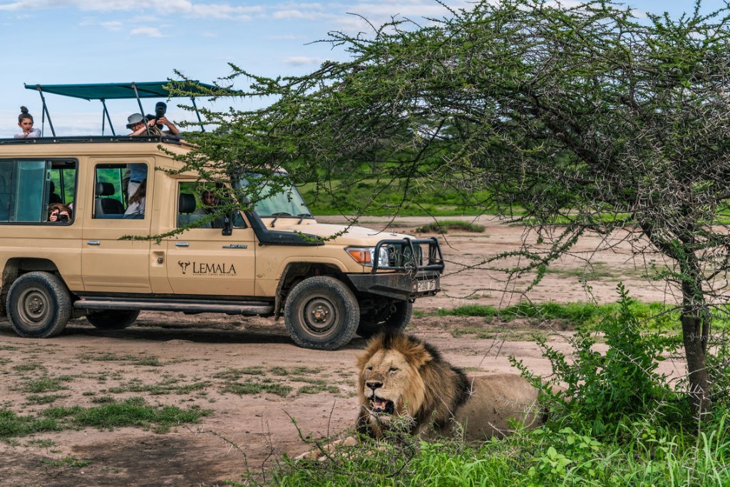 Game drive