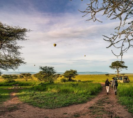 Heteluchtballon safari