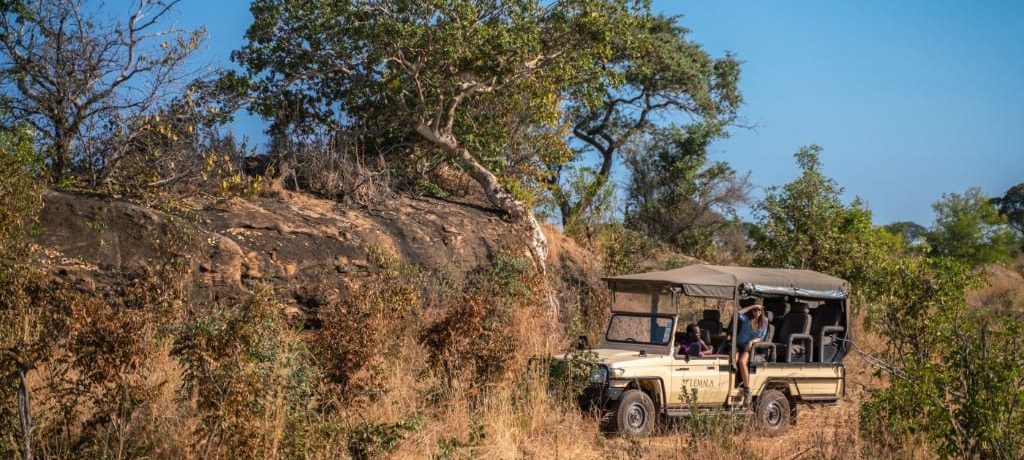 Lemala Mpingo Ridge, Big Five safari in Afrika