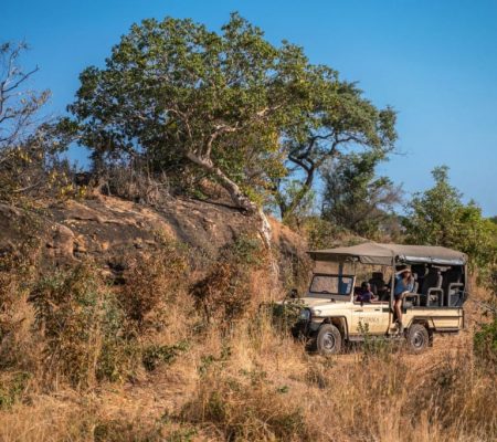 Game drive, Big Five safari in Afrika