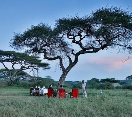 Lemala Tented Camp