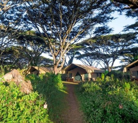 Lemala Ngorongoro Tented Camp