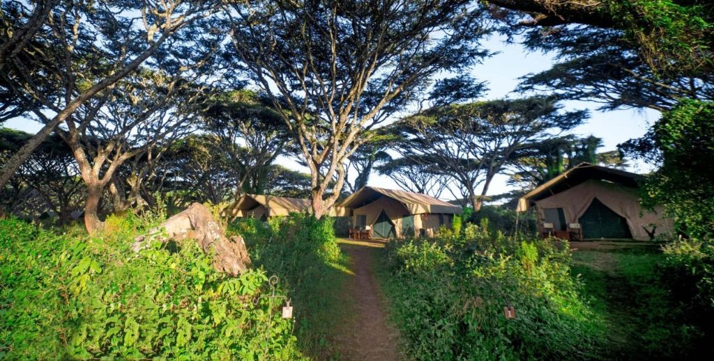 Lemala Ngorongoro Tented Camp