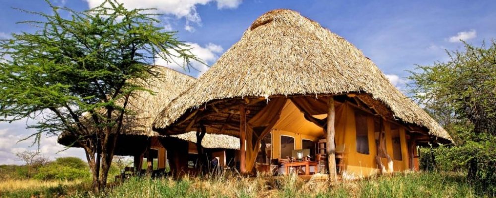 Lewa Safari Camp