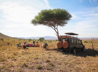 Game drive Lions Bluff