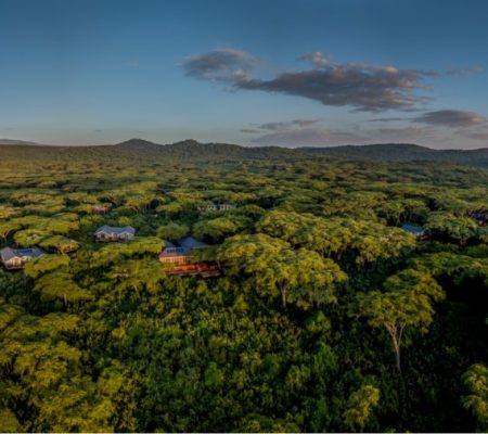 Ngorongoro